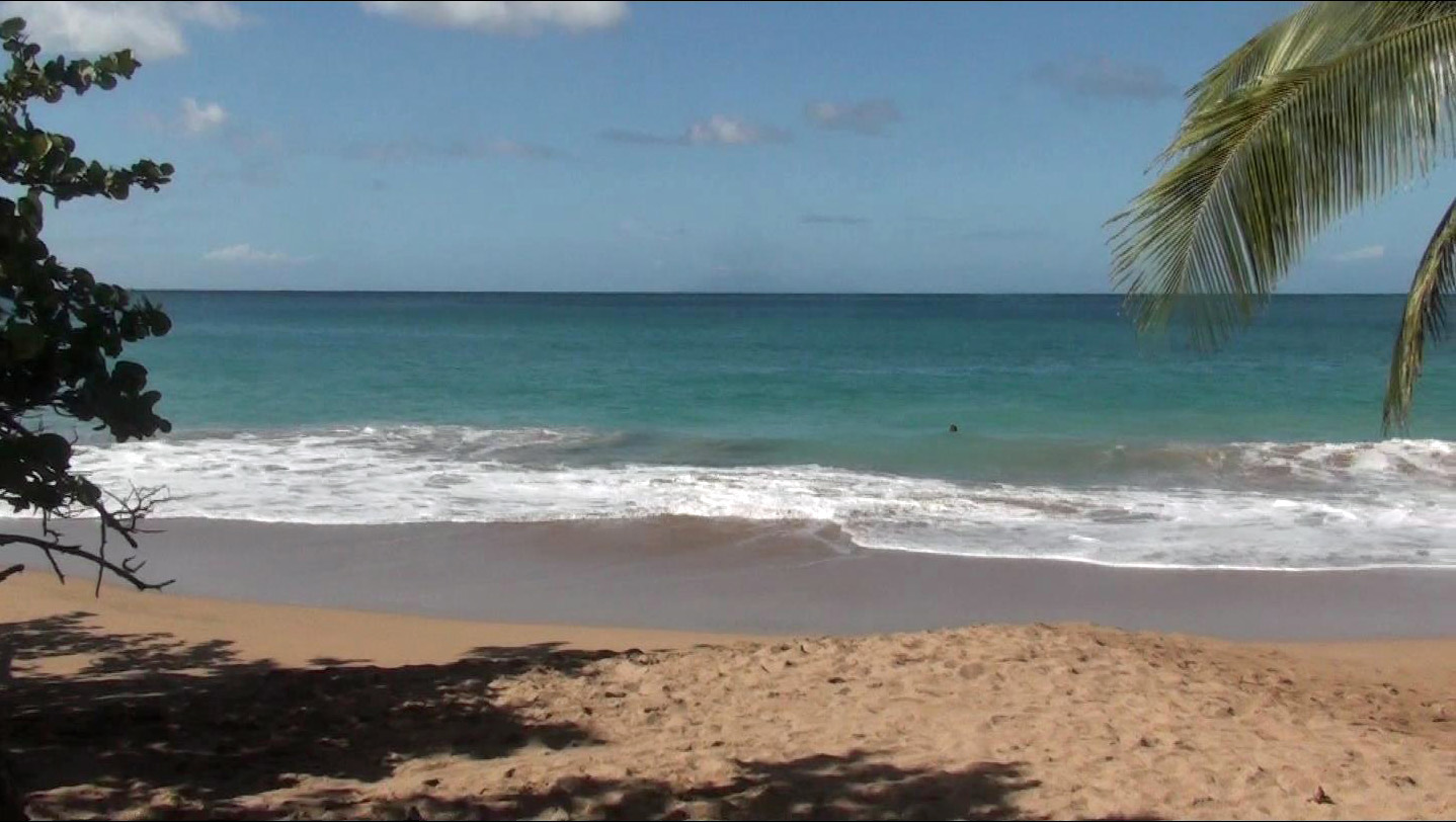 Death in Paradise Beach 2